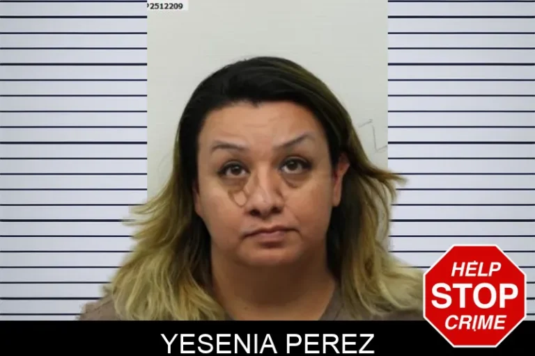 Yesenia Perez mugshot – Chatham County , Georgia Yesenia Perez