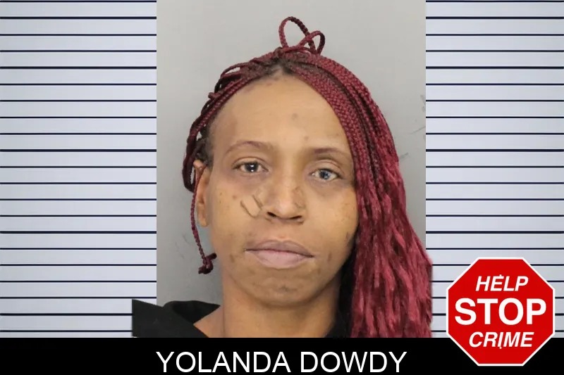 Yolanda Dowdy Mugshots