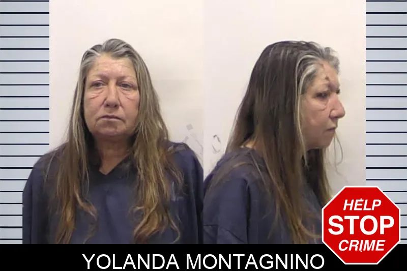 Yolanda Montagnino mugshot – Clarke County , Georgia Yolanda Montagnino mugshot
