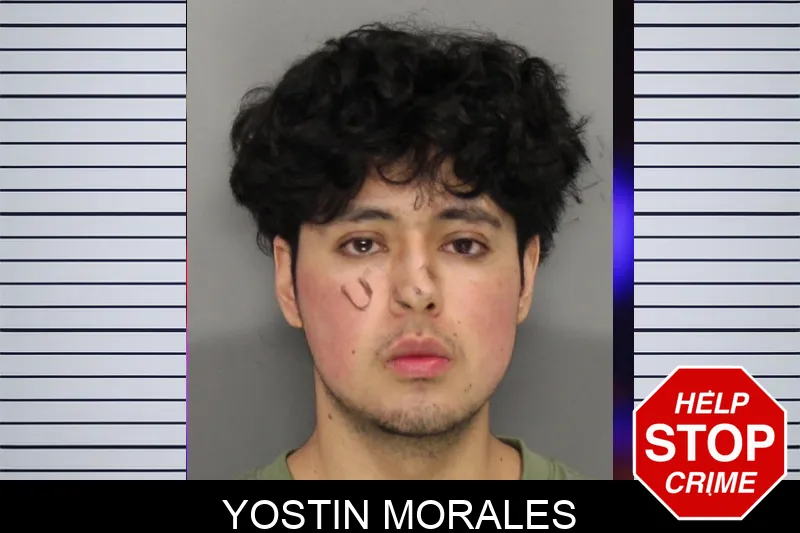 Yostin Morales Mugshots