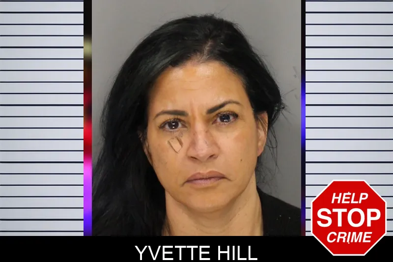 Yvette Hill Mugshots