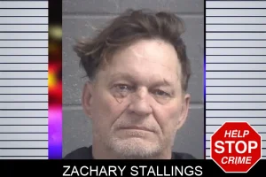 Zachary Stallings mugshot
