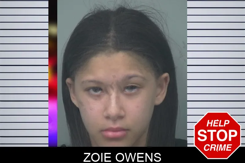 Zoie Owens mugshot – Gwinnett County , Georgia Zoie Owens mugshot