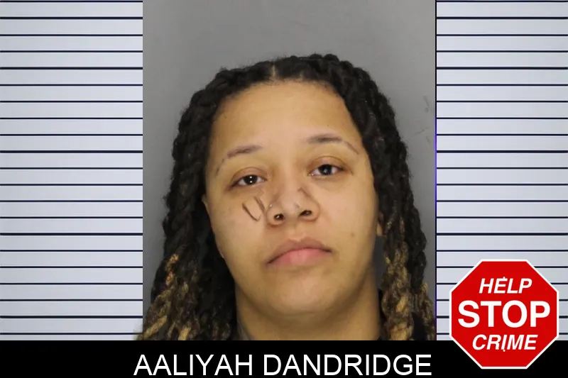 Aaliyah Dandridge mugshot