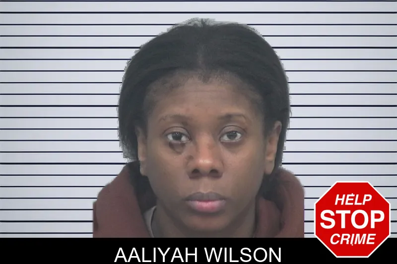 Aaliyah Wilson mugshot