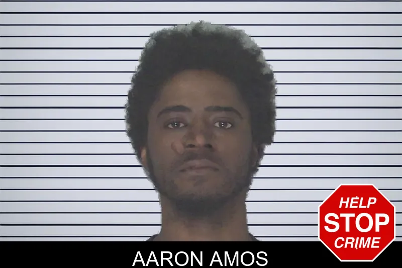 Aaron Amos mugshot
