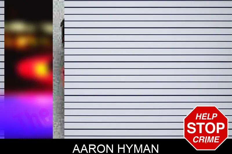 Aaron Hyman Mugshots
