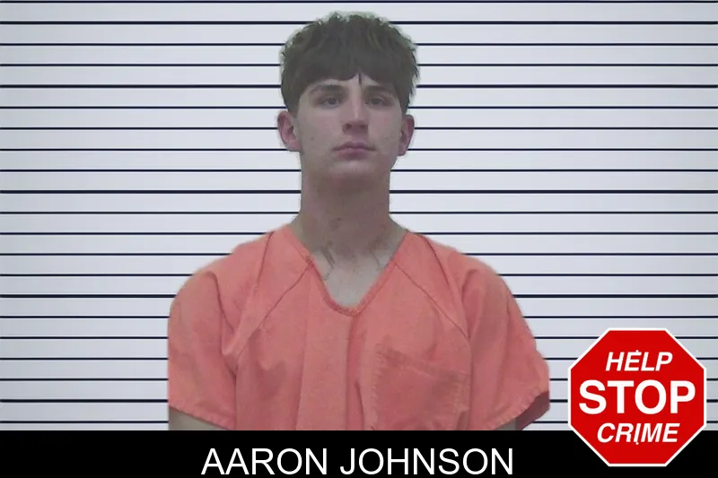 Aaron Johnson mugshot