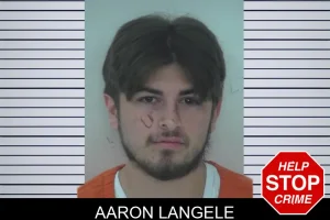 Aaron Langele mugshot