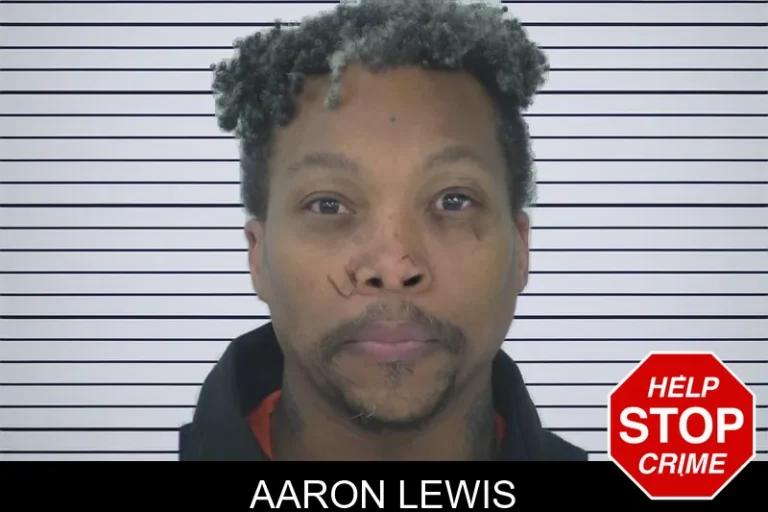 Aaron Lewis mugshot – Fayette County , Georgia Aaron Lewis