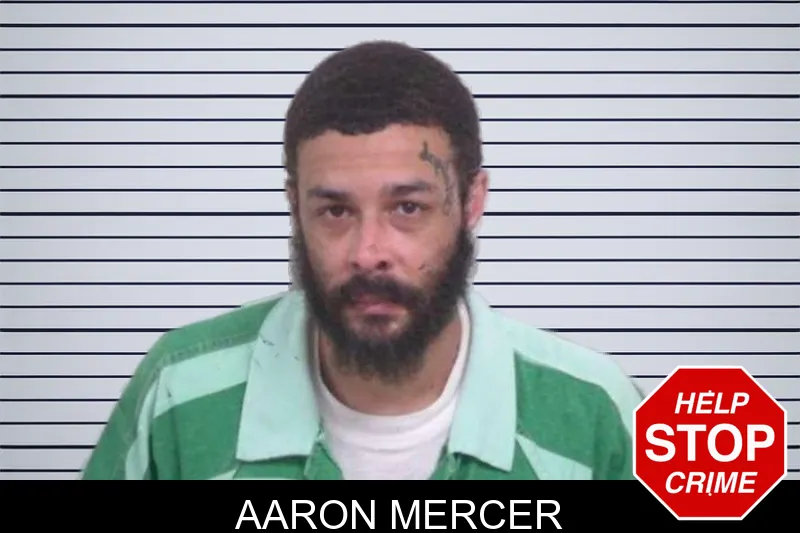 Aaron Mercer Mugshots