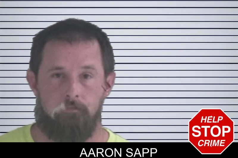 Aaron Sapp Mugshots