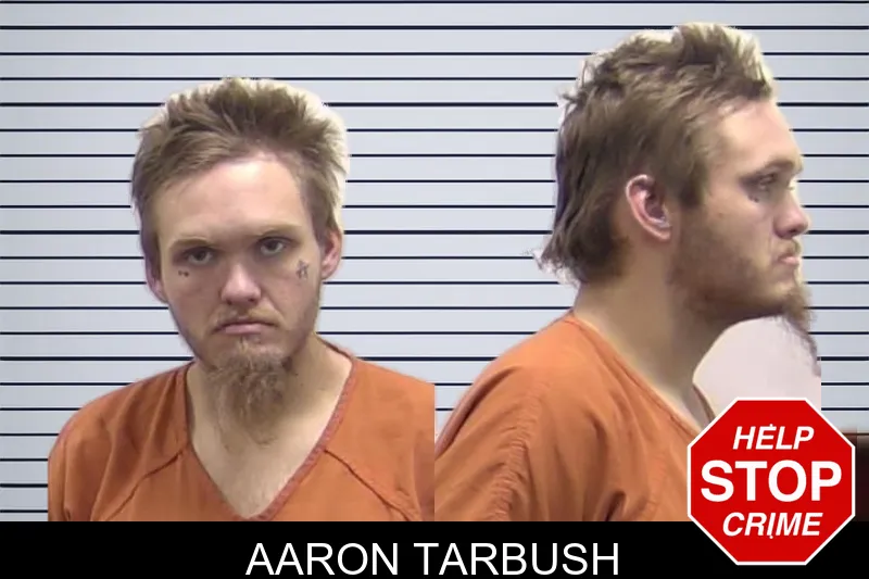 Aaron Tarbush mugshot – Clarke County , Georgia Aaron Tarbush mugshot