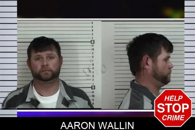 Aaron Wallin