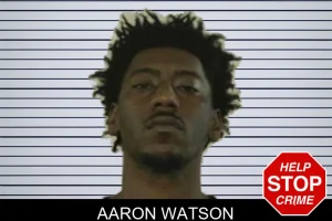Aaron Watson mugshot