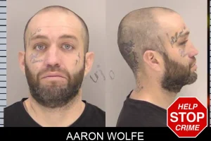 Aaron Wolfe mugshot