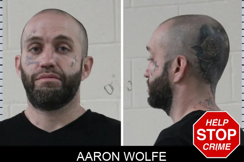 Aaron Wolfe mugshot – Houston County , Georgia Aaron Wolfe mugshot