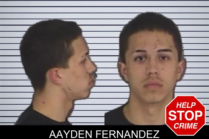 Aayden Fernandez Mugshots
