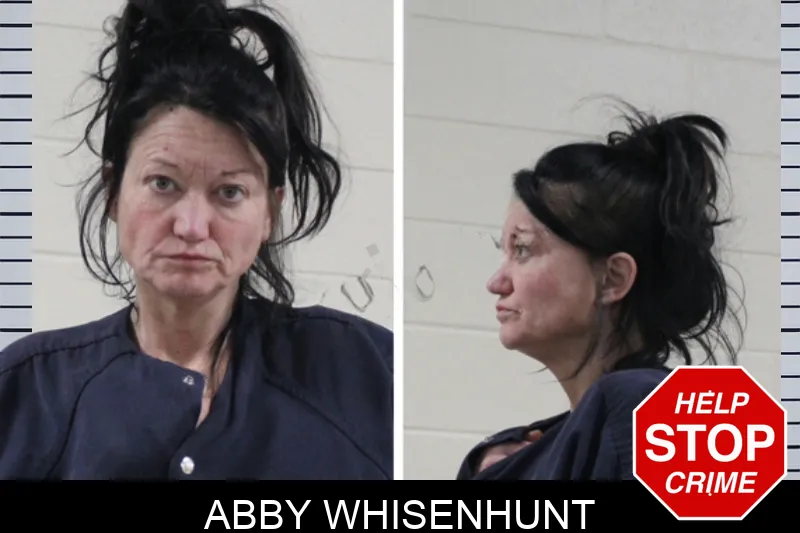 Abby Whisenhunt mugshot