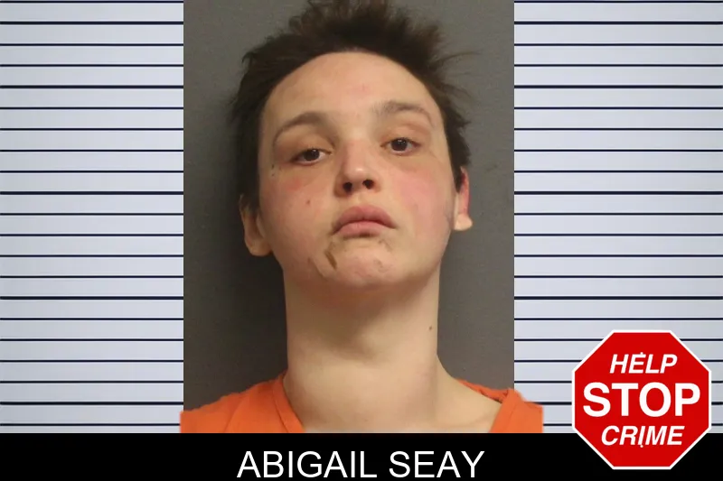 Abigail Seay Mugshots