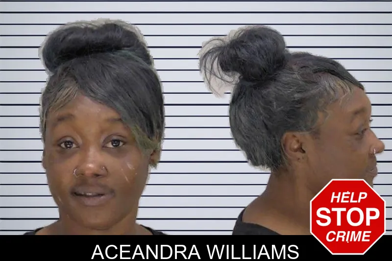 Aceandra Williams Mugshots