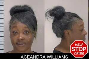 Aceandra Williams mugshot
