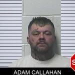 Adam Callahan Mugshots