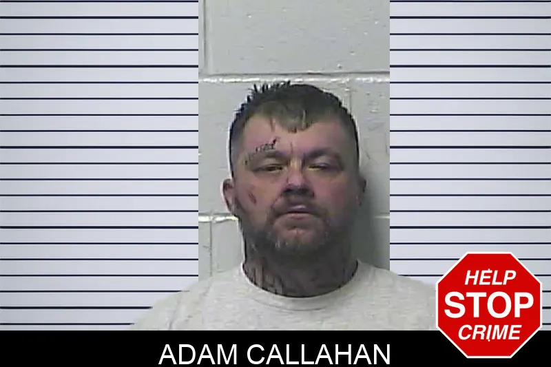 Adam Callahan Mugshots