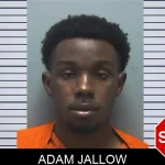 Adam Jallow Mugshots