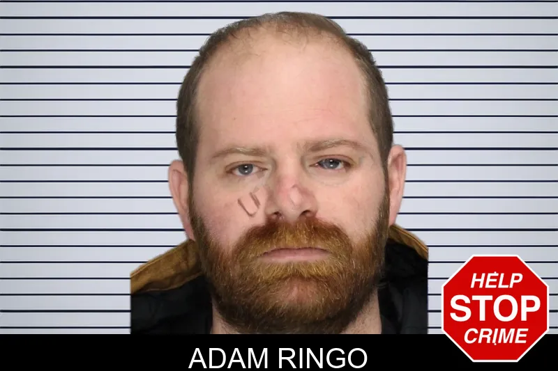 Adam Ringo mugshot