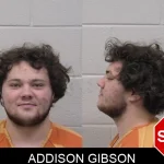 Addison Gibson Mugshots
