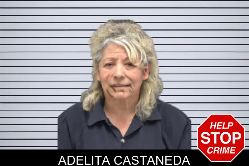 Adelita Castaneda mugshot