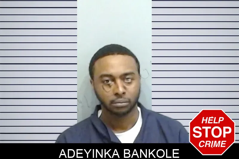 Adeyinka Bankole mugshot