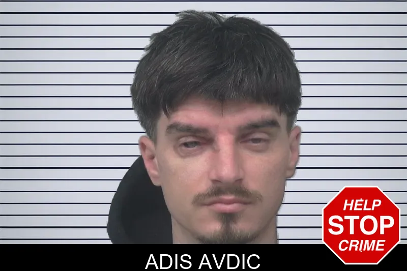 Adis Avdic Mugshots