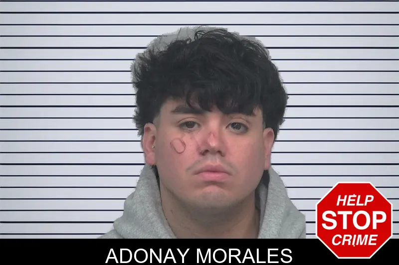 Adonay Morales mugshot