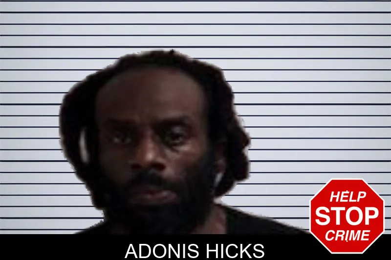 Adonis Hicks of Henry County, Georgia Adonis Hicks Mugshots