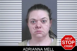 Adrianna Mell mugshot