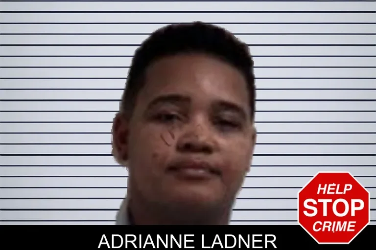 Adrianne Ladner mugshot – Henry County , Georgia Adrianne Ladner