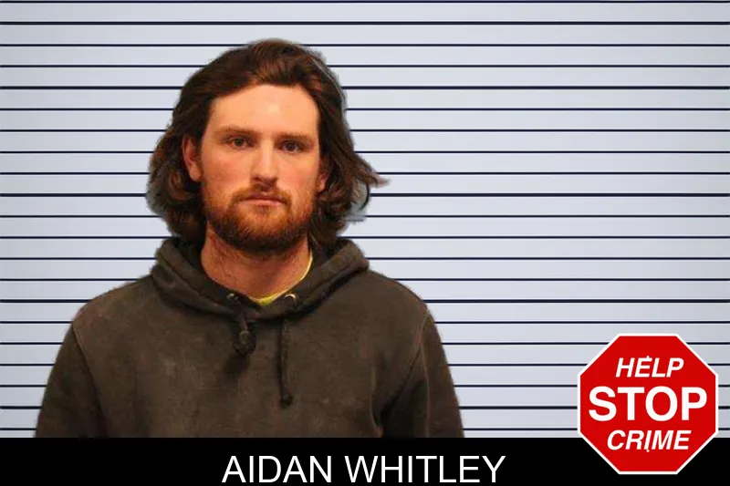 Aidan Whitley Mugshots