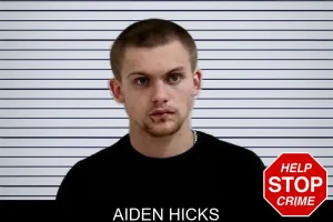 Aiden Hicks mugshot