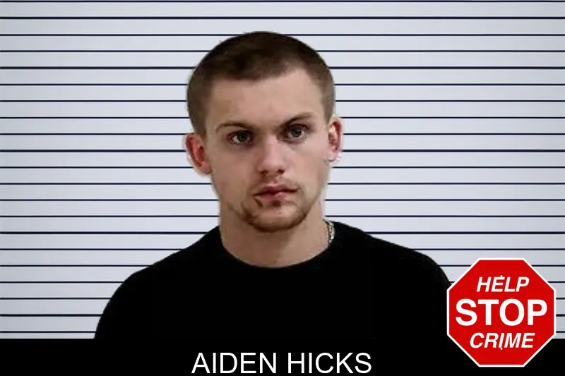 Aiden Hicks Mugshots
