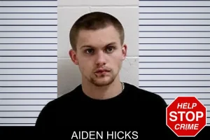 Aiden Hicks mugshot