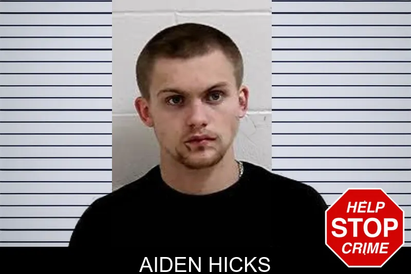Aiden Hicks Mugshots