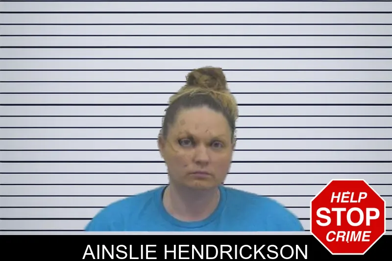Ainslie Hendrickson Mugshots