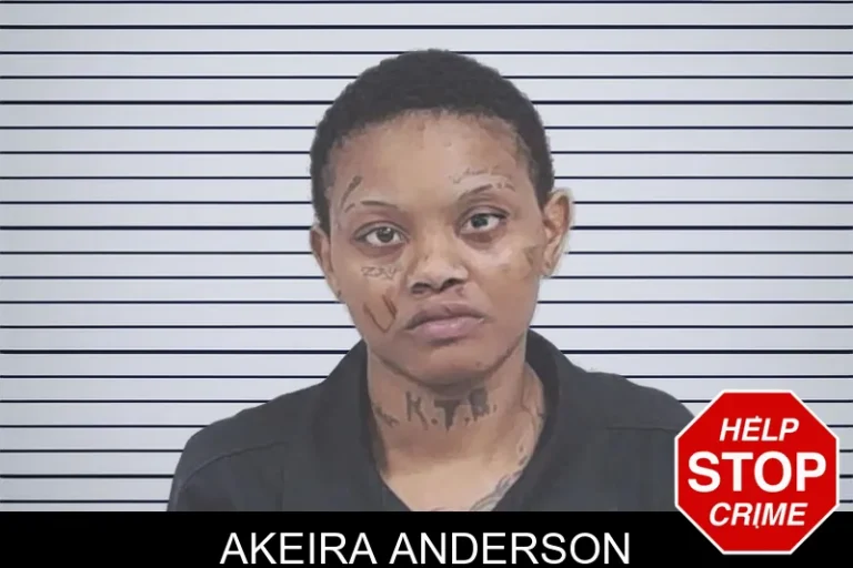 Akeira Anderson mugshot – Lowndes County , Georgia Akeira Anderson