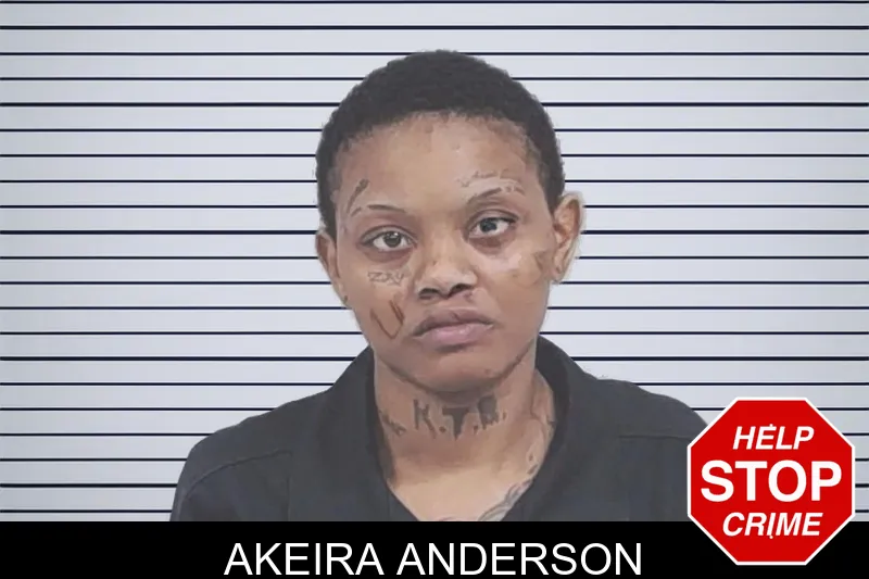 Akeira Anderson mugshot – Lowndes County , Georgia Akeira Anderson mugshot