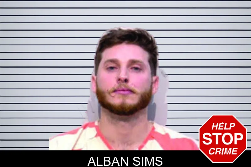 Alban Sims mugshot – Bartow County , Georgia Alban Sims mugshot