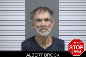 Albert Brock mugshot