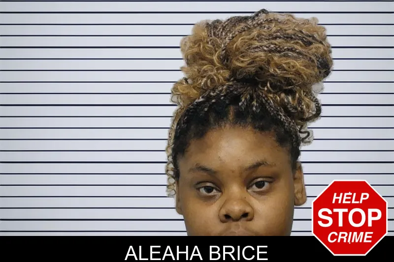 Aleaha Brice mugshot