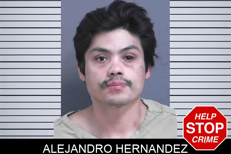 Alejandro Hernandez mugshot